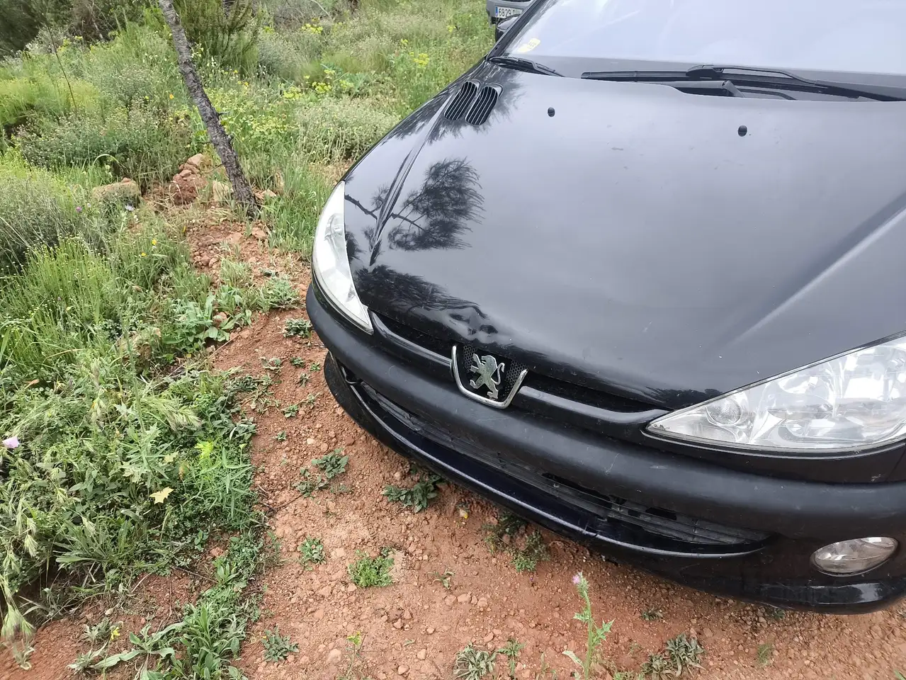 Peugeot 206 2.0 GTI, foto 2