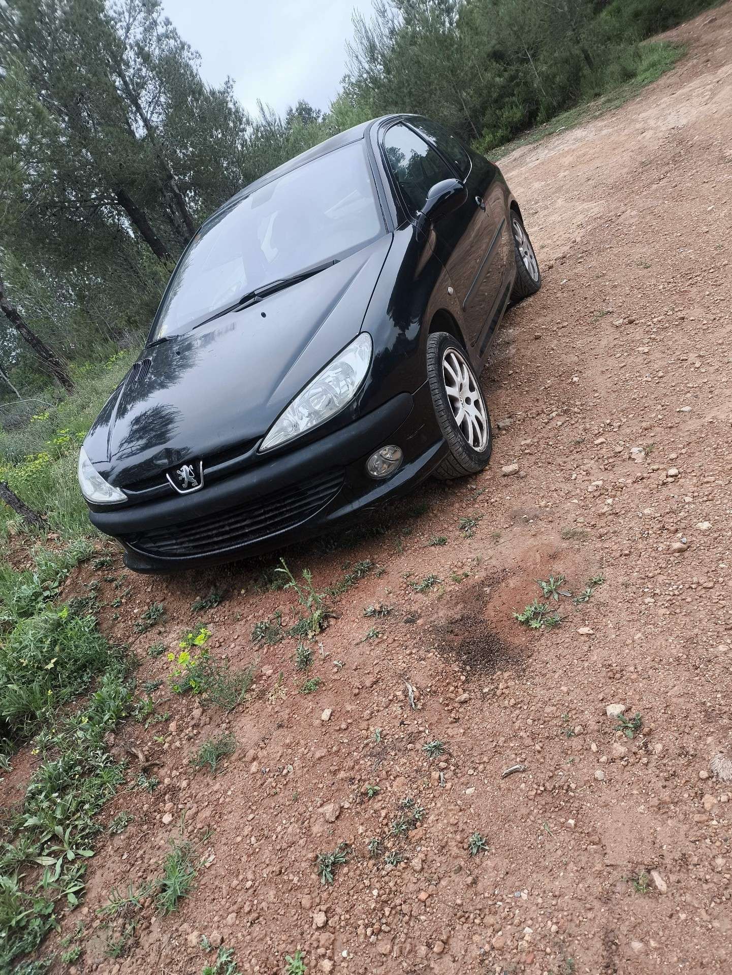 Peugeot 206 2.0 GTI - foto 1