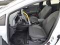 Ford Puma 1.0 EcoBoost MHEV Aut. TITANIUM Pano,Winter Blanc - thumbnail 5