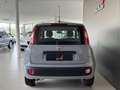 Fiat Panda 1.2 Easy Grigio - thumbnail 5