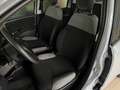 Fiat Panda 1.2 Easy Grigio - thumbnail 10