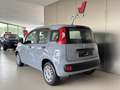 Fiat Panda 1.2 Easy Grigio - thumbnail 4