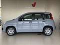 Fiat Panda 1.2 Easy Grigio - thumbnail 1