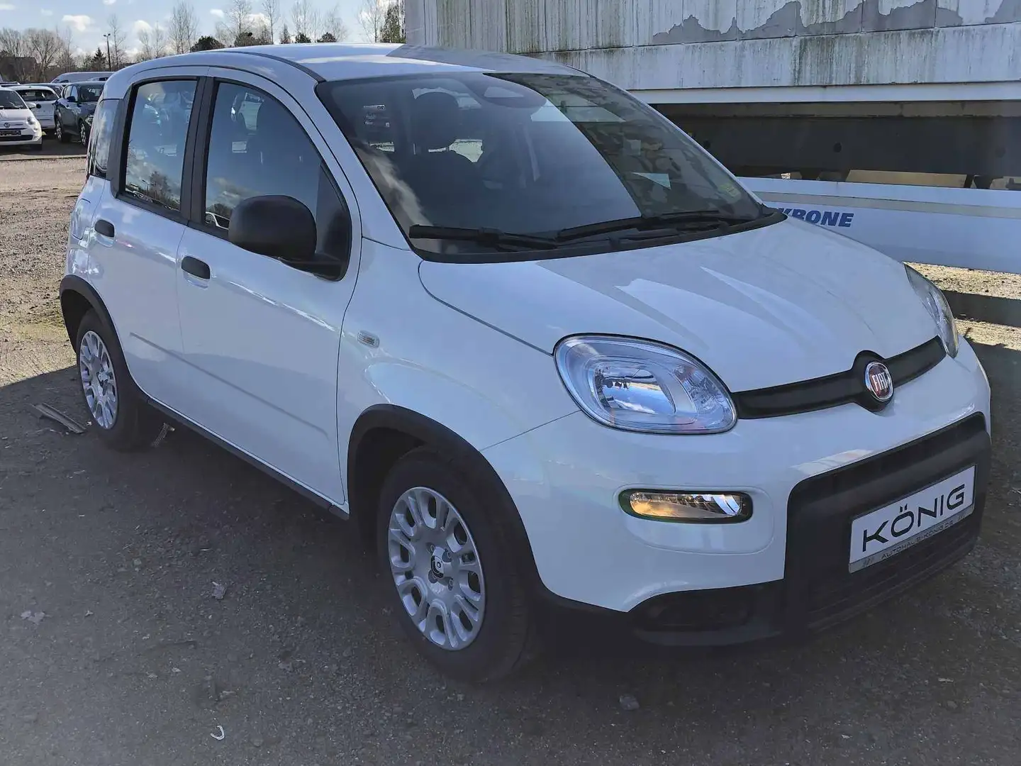 Fiat Panda MY24 1.0 Klima PDC Citypaket Blanc - 2