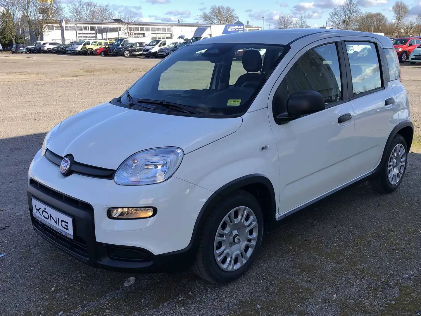 Fiat Panda MY24 1.0 Klima PDC Citypaket Blanc - 1