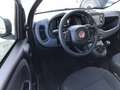 Fiat Panda MY24 1.0 Klima PDC Citypaket Blanc - thumbnail 9
