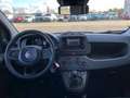 Fiat Panda MY24 1.0 Klima PDC Citypaket Blanc - thumbnail 7