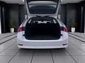 Skoda Octavia Combi 2.0 TDI DSG STYLE AHK NAVI PDC SIT Weiß - thumbnail 4
