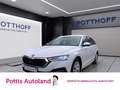 Skoda Octavia Combi 2.0 TDI DSG STYLE AHK NAVI PDC SIT Weiß - thumbnail 1