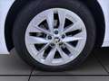 Skoda Octavia Combi 2.0 TDI DSG STYLE AHK NAVI PDC SIT Weiß - thumbnail 8
