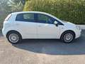 Fiat Punto Punto di 5p 1.2 Street E6 Bianco - thumbnail 1