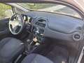 Fiat Punto Punto di 5p 1.2 Street E6 Bianco - thumbnail 6