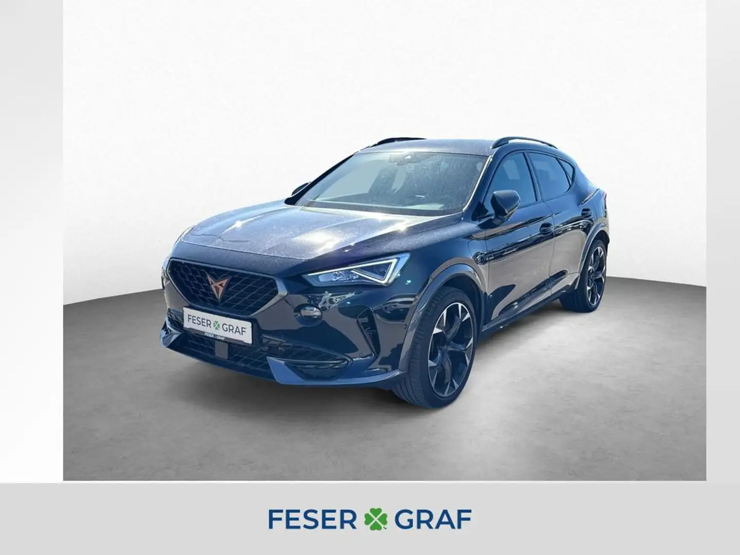 CUPRA Formentor VZ 1.4 e-Hybrid/AHK/Fa Pa L/RFK Azul - 1