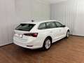 Skoda Octavia Business TDI Weiß - thumbnail 16