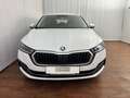 Skoda Octavia Business TDI Weiß - thumbnail 3
