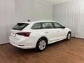 Skoda Octavia Business TDI Weiß - thumbnail 15