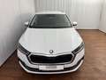 Skoda Octavia Business TDI Weiß - thumbnail 4