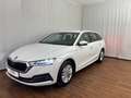 Skoda Octavia Business TDI Weiß - thumbnail 1