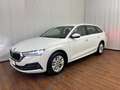 Skoda Octavia Business TDI Weiß - thumbnail 2