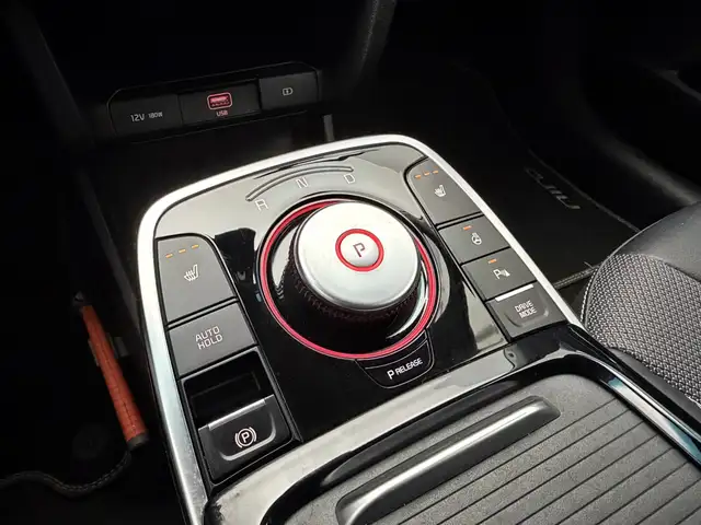 Kia E-Niro view 11
