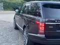 Land Rover Range Rover Range Rover 4,4 SDV8 Autobiography Autography Grau - thumbnail 4