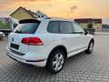 Volkswagen Touareg V6 TDI 4Mot R-Line Leder SHZ AHK Klimaa Blanc - thumbnail 3
