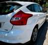 Ford Focus 1.0 EcoB. A-S-S 125cv EcoBoost Edition Blanco - thumbnail 8