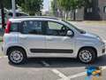 Fiat Panda 1.2 Easy Gris - thumbnail 4