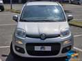 Fiat Panda 1.2 Easy Gris - thumbnail 2