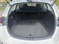 Toyota Auris TS 1,33 dVVT-i Active - thumbnail 16