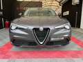 Alfa Romeo Stelvio 2.2 Turbodiesel 160 CV AT8 RWD Business Grigio - thumbnail 2