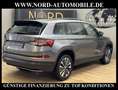 Skoda Kodiaq Ambition 2.0 TDI DSG Virt.Cockpit/Kamera/ Ambition Grau - thumbnail 10