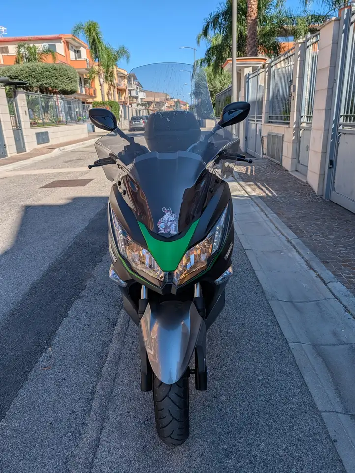 Kawasaki J 300