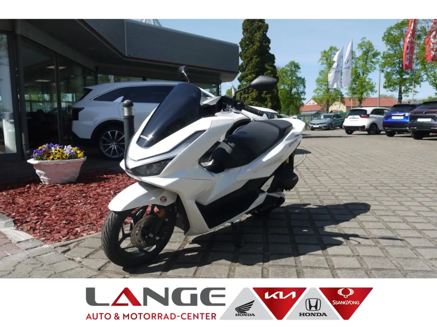 Honda PCX 125 WW125SS ED PCX125 Tageszulassung DX Modell bijela - 1