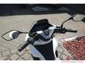 Honda PCX 125 WW125SS ED PCX125 Tageszulassung DX Modell bijela - thumbnail 9