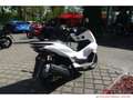 Honda PCX 125 WW125SS ED PCX125 Tageszulassung DX Modell bijela - thumbnail 5