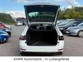 Skoda Superb Combi Style|PANO|LENKRADHEIZ|MEMORY|3ZONE Weiß - thumbnail 5