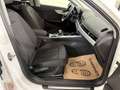 Audi A4 Avant 40TDI quattro advanced S-tronic *LED*NAVI... Weiß - thumbnail 50