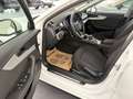 Audi A4 Avant 40TDI quattro advanced S-tronic *LED*NAVI... Weiß - thumbnail 11