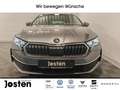 Skoda Octavia Selection 1.5 TSI MATRIX CarPlay 360KAM Grau - thumbnail 6
