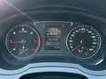 Audi Q3 2.0 TDI Ed. Sport Quattro 150CV + TETTO APRIBILE Blanco - thumbnail 11