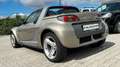 smart roadster 60kW /SERVO/SCHALTWIPPEN/ZV Beige - thumbnail 6