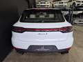 Porsche Macan S 1.HAND/ACC/LUFT/AHK/BOSE/PANO/18WEGE Blanc - thumbnail 7