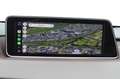 Lexus RX 450h 4WD Luxury Line Panorama dak Gris - thumbnail 20