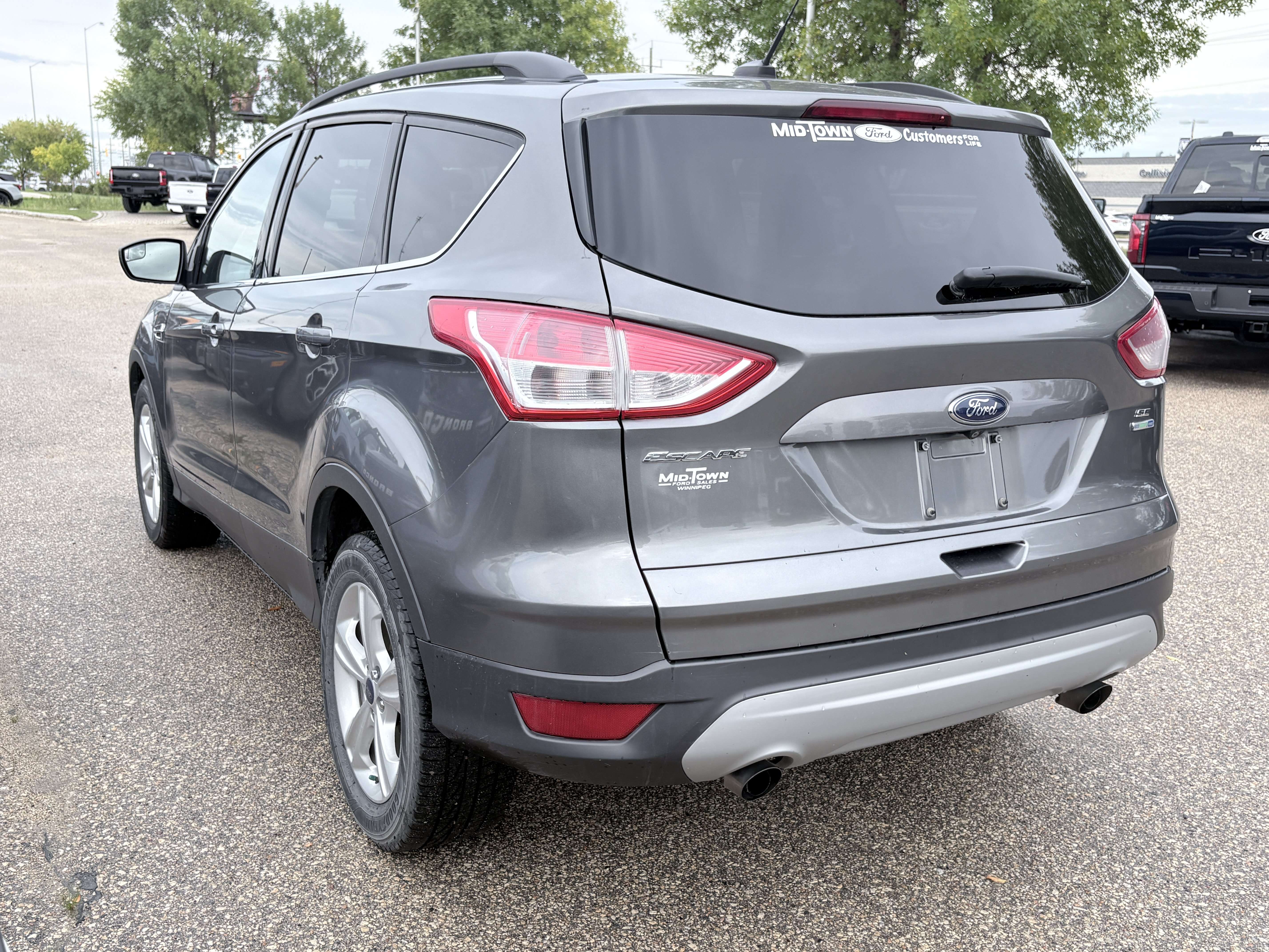 Image 7
