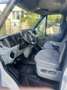 Ford Transit Bus - thumbnail 7