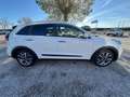 Kia Niro 1.6 GDi DCT HEV Evolution Bianco - thumbnail 3