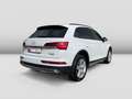 Audi Q5 40TDI quattro S-tronic Matrix Pano 360° Leder Weiß - thumbnail 4
