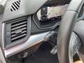 Audi Q5 40TDI quattro S-tronic Matrix Pano 360° Leder Weiß - thumbnail 13