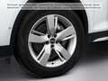 Audi Q5 40TDI quattro S-tronic Matrix Pano 360° Leder Blanc - thumbnail 10
